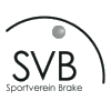 SV Brake