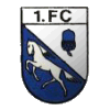 1. FC Quadrath-Ichendorf