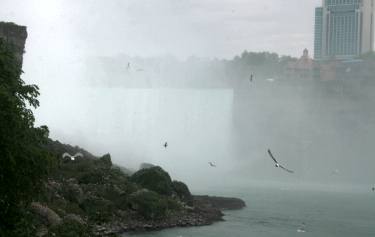 Die Niagarafälle