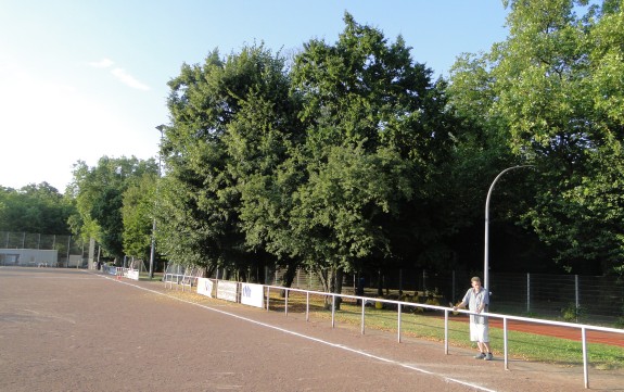 Sportplatz Wilhelmstraße